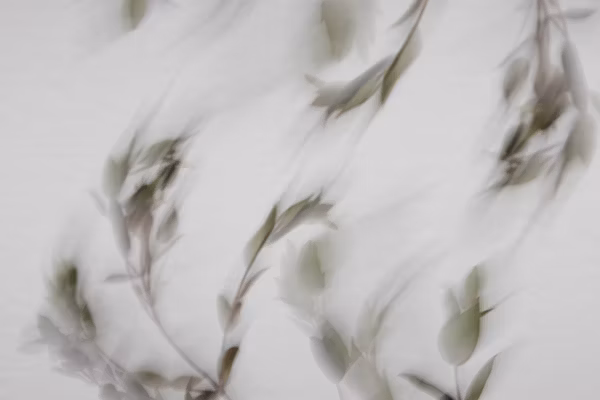 arte movimiento